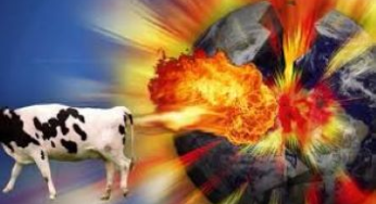 ¿Por qué importan tanto las vacas pedorras, flatulentas?